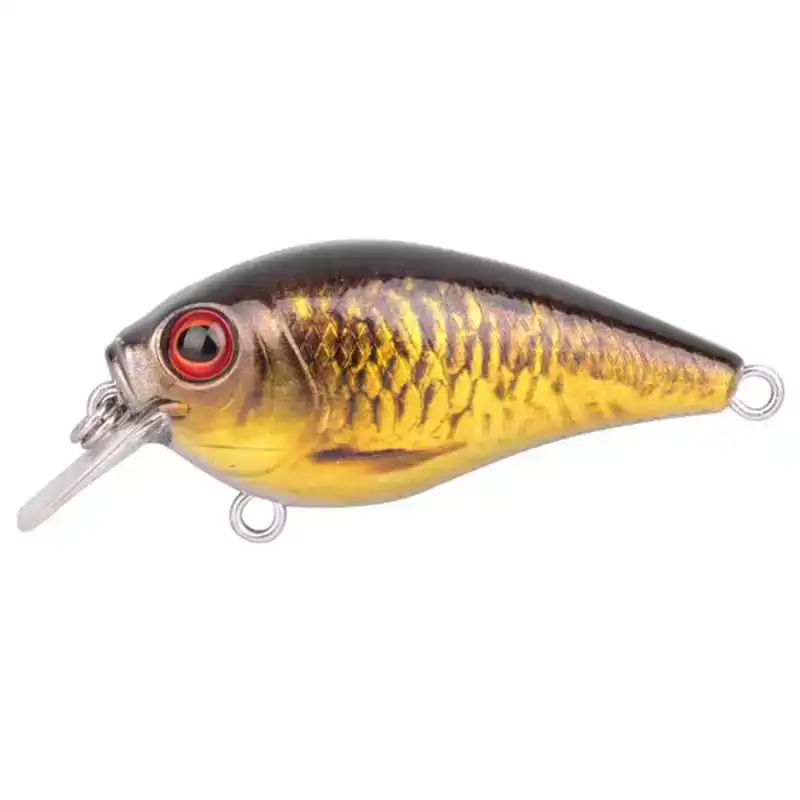 Nieuw Ikiru Crank 45F