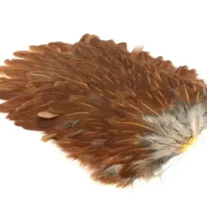 4 B's Hen Saddle Must-Have