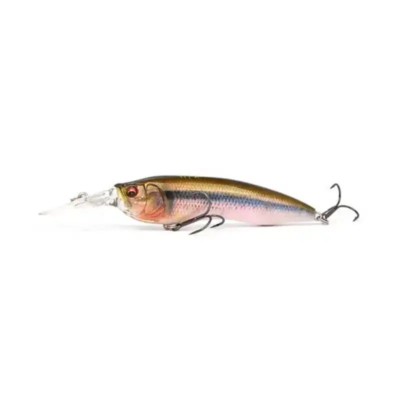 Live X Model 1 LBO Lage Kosten