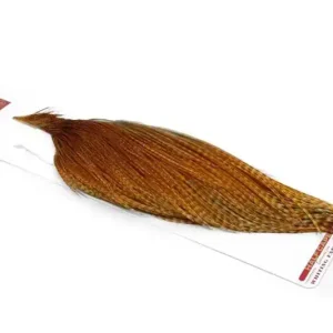 Betrouwbaar Whiting Rooster 1/2 Cape