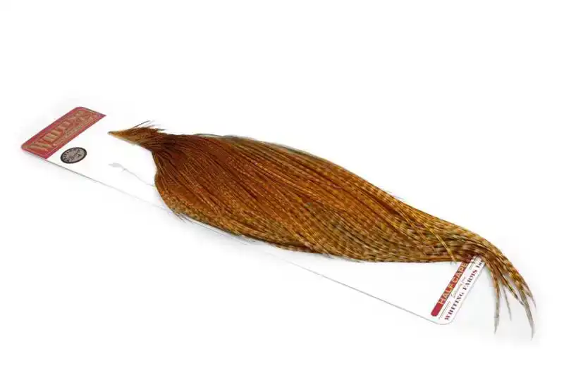 Betrouwbaar Whiting Rooster 1/2 Cape