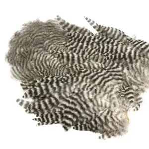 Whiting Rooster SH/C Aanbieding