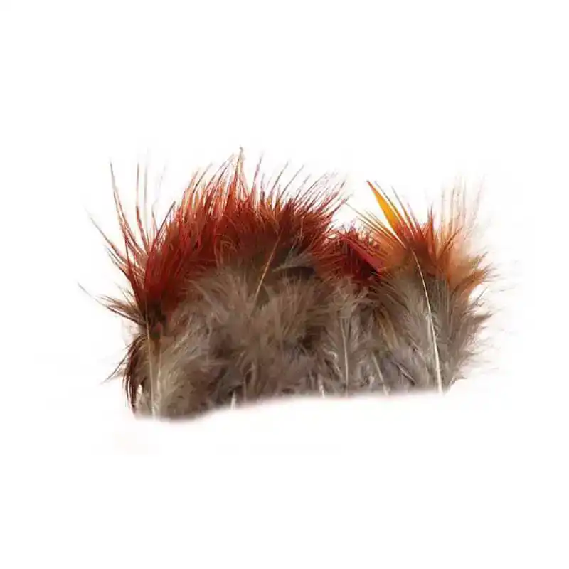 Golden Pheasant Feathers Strung Express Levering