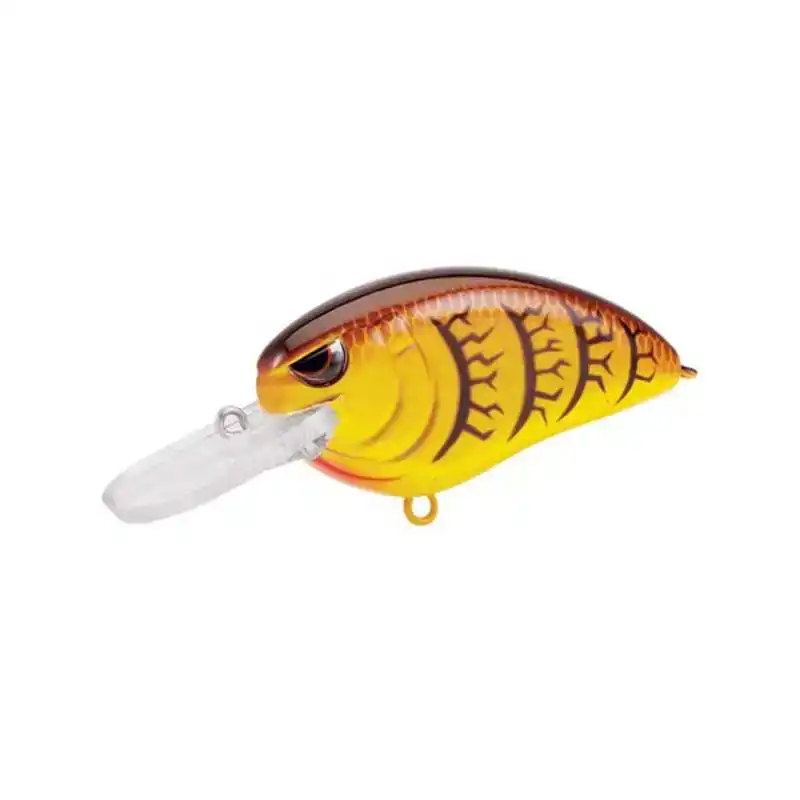 Koop Online Little John MD Type-R