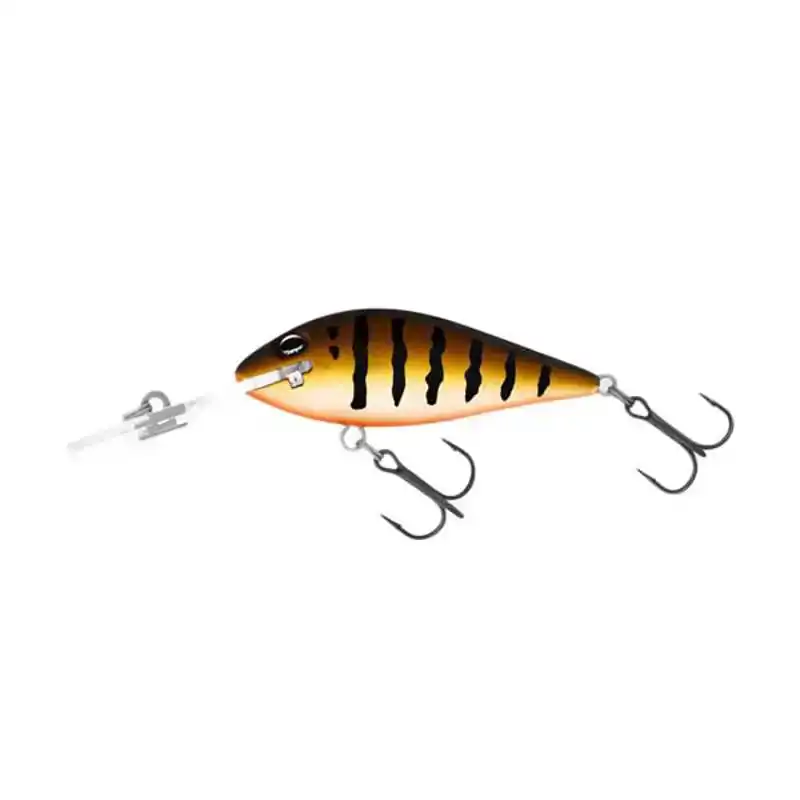 TB 55 Must-Have