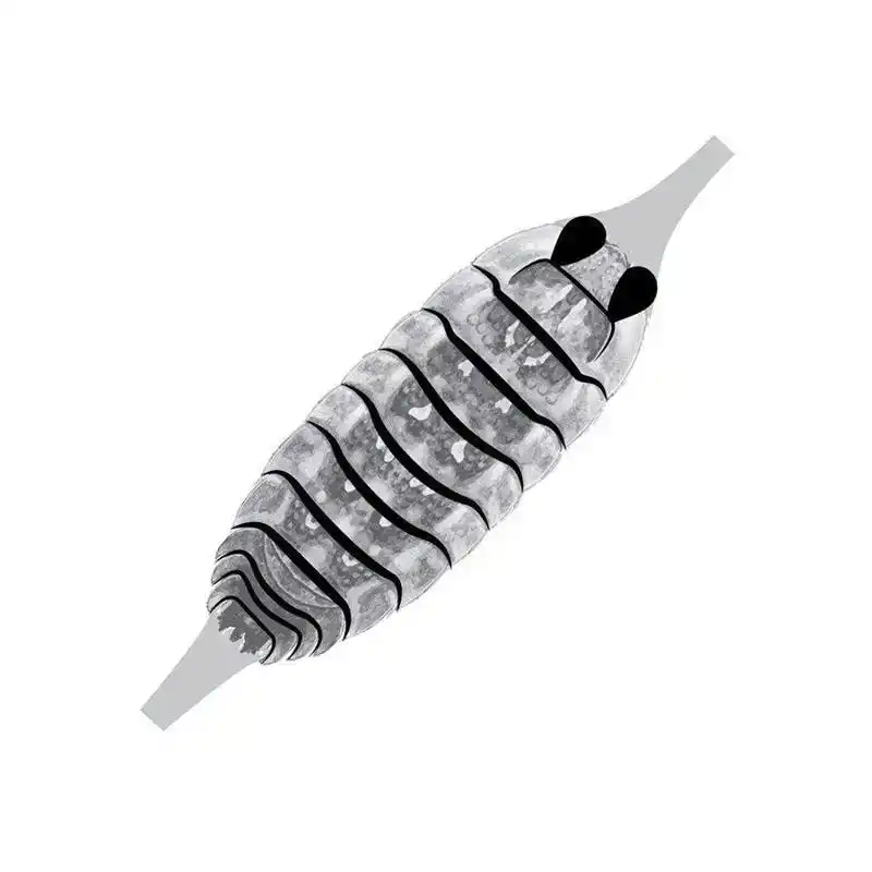 Pro Gammarus SW Shellback Lage Kosten