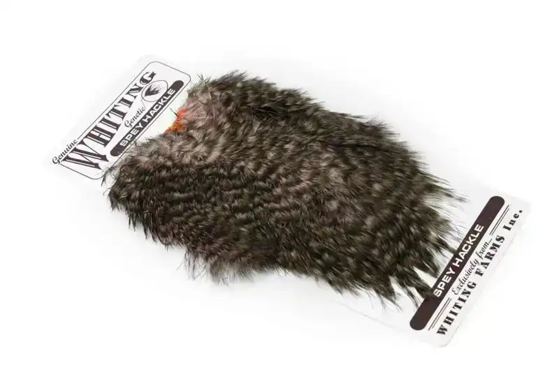 Laatste Kans Spey Hackle Hen Saddle Grizzly dyed Shell Pink
