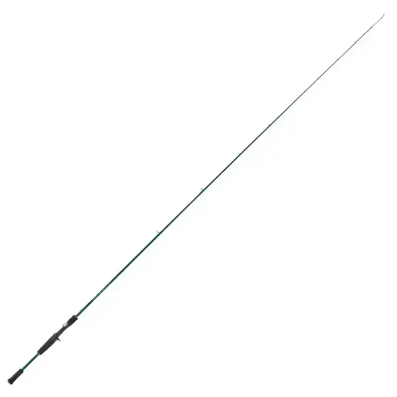Rayfin Casting - RAYC203MXF Hoge Kwaliteit
