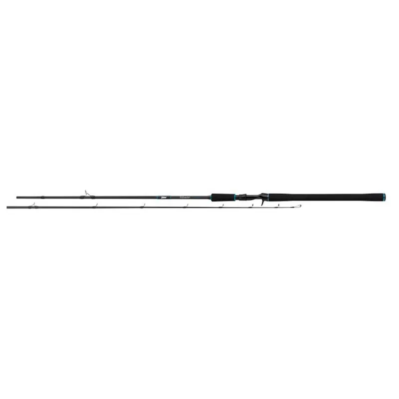 Lage Kosten Salmo Salmo Tollmaster 240cm - Roofvishengel - 40-60 g 2 stuks
