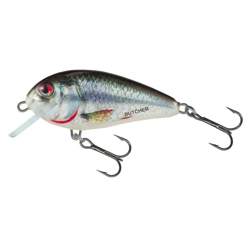 Weekendaanbieding Salmo Br5f Holographic Real Dace - Plug -