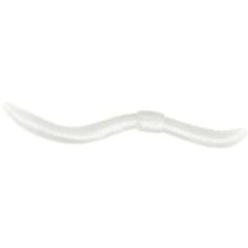 Trout Master Dendrobaena - Imitatie aas - 210 cm 12 g Pearl Bestel Nu