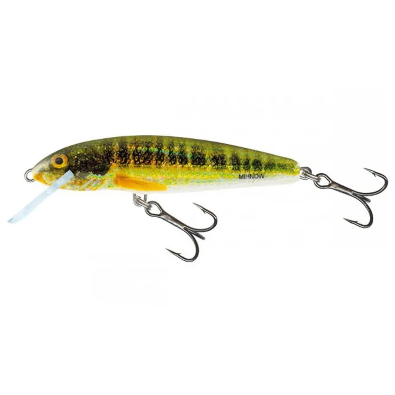 Beste Prijs Salmo Minnow Snk 7cm Holo Real Minnow - Plug -