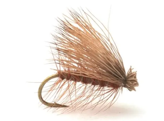 Guideline CDC Elk Caddis Brown # 12 Premium