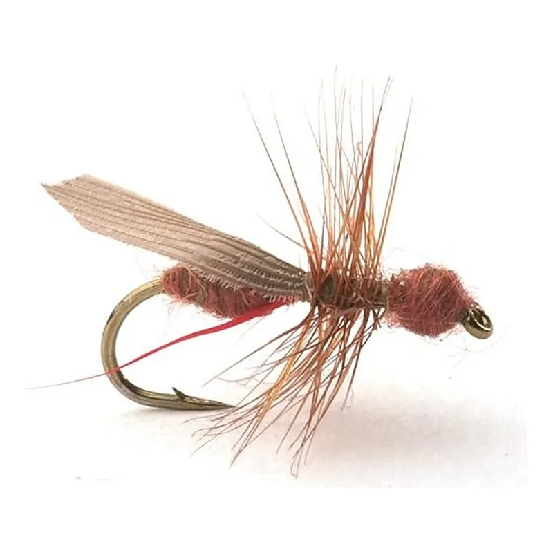 Guideline Flying Ant Cinnamon # 16 Uitverkoop