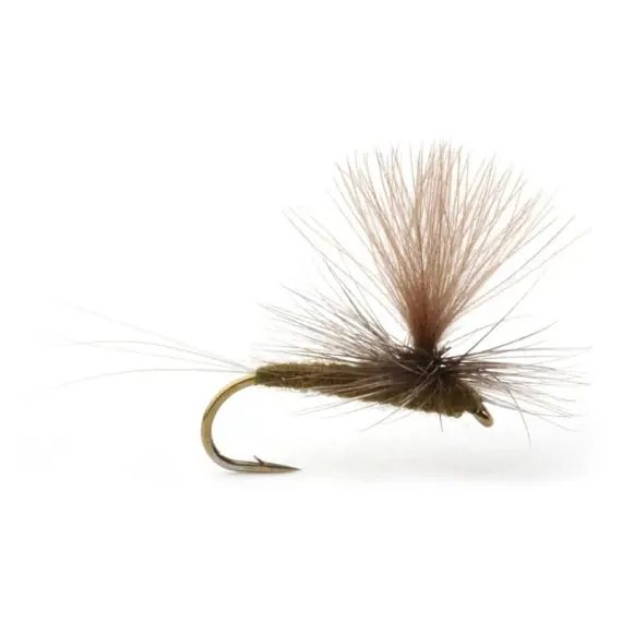 Baetis Dark Olive - 14 Lage Kosten