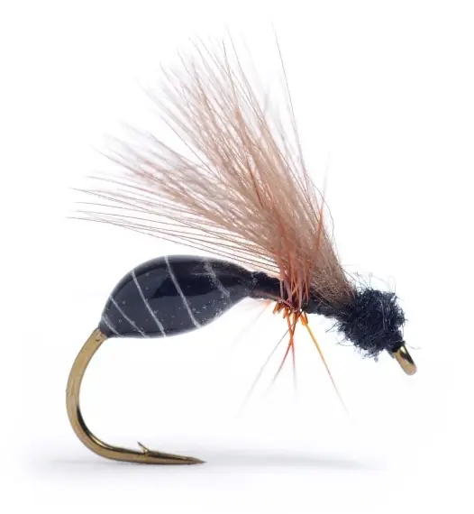 RS Glue Ant Black #14 Koopje