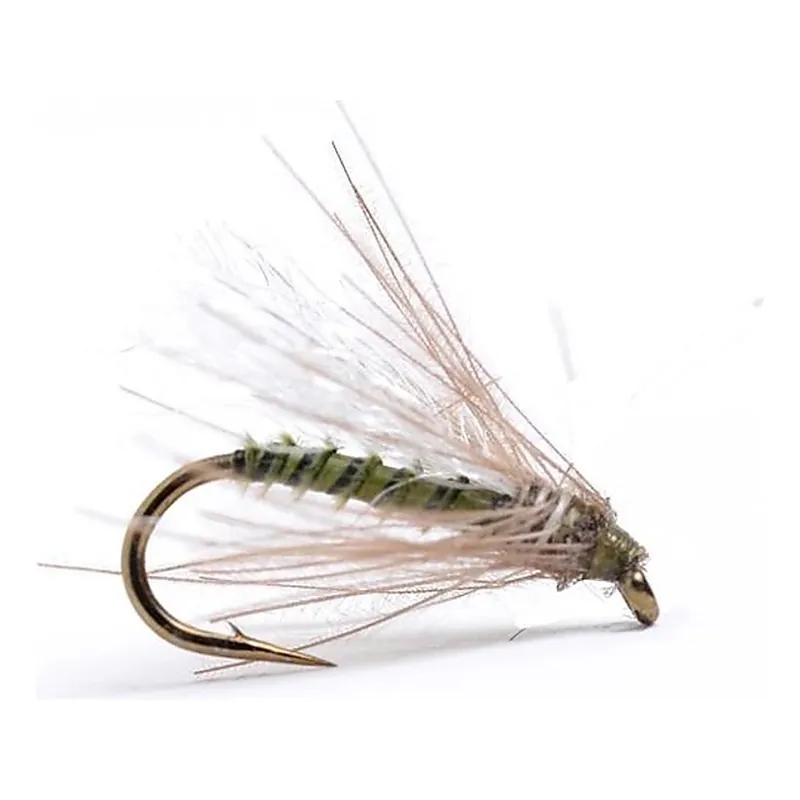 Guideline CDC Midge Olive # 16 Veilige Betaling