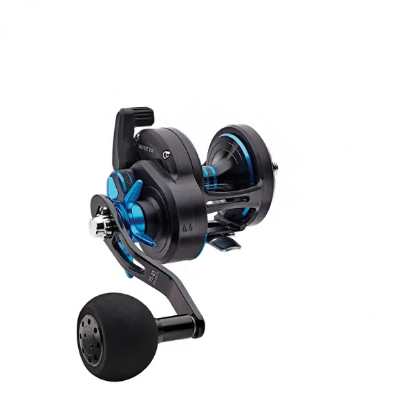 Populair Daiwa 18 Saltist 20H