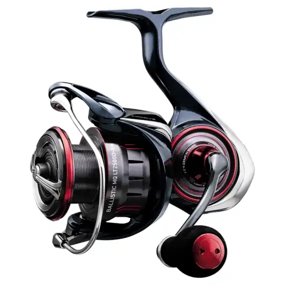 Express Levering Daiwa 25 Ballistic MQ LT4000D-CXH