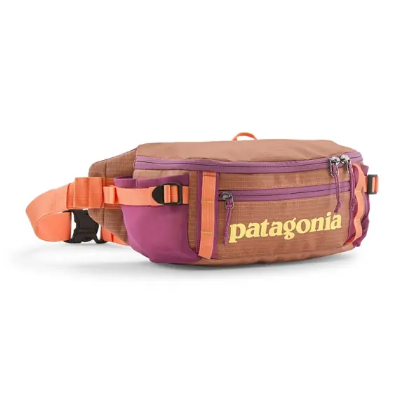 Patagonia Black Hole Waist Pack 5L PCHS Seizoensaanbieding