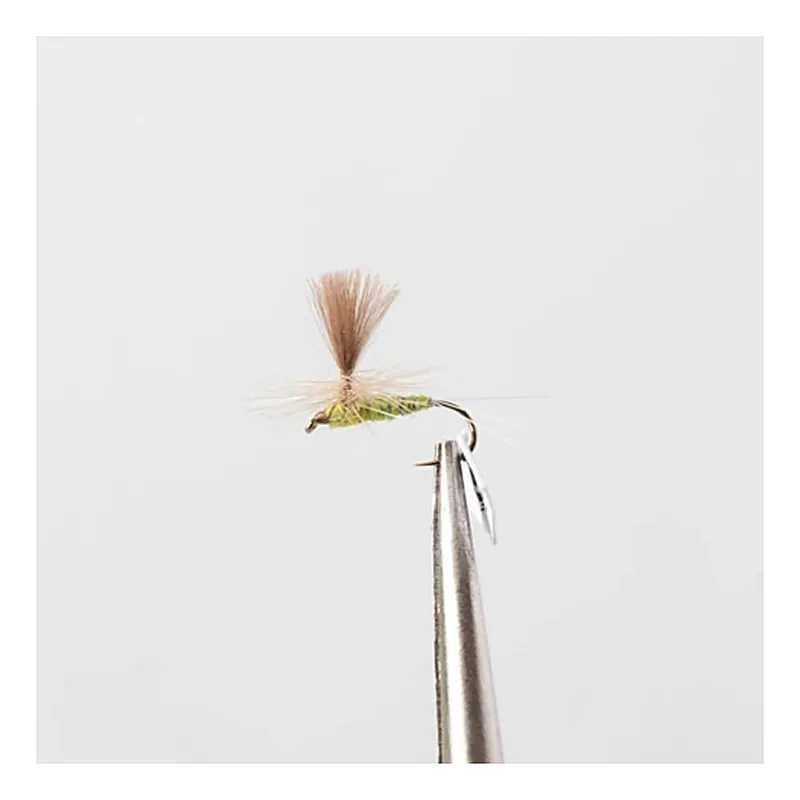 Must-Have Olive Flash # 12