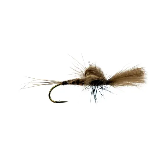 Laatste Kans Vulgata Emerger # 8