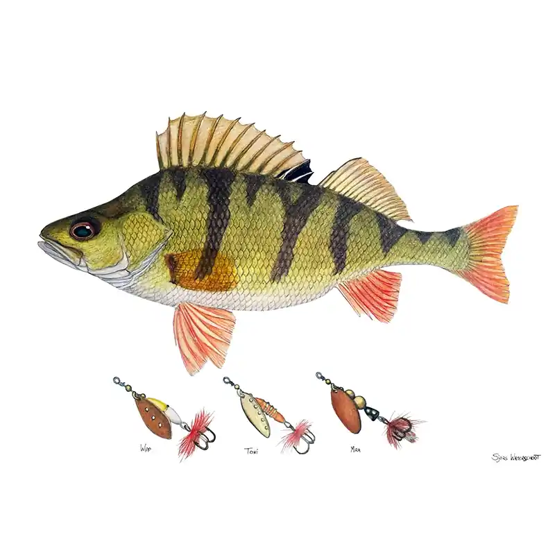 Beste Prijs Myran Framed Perch Poster
