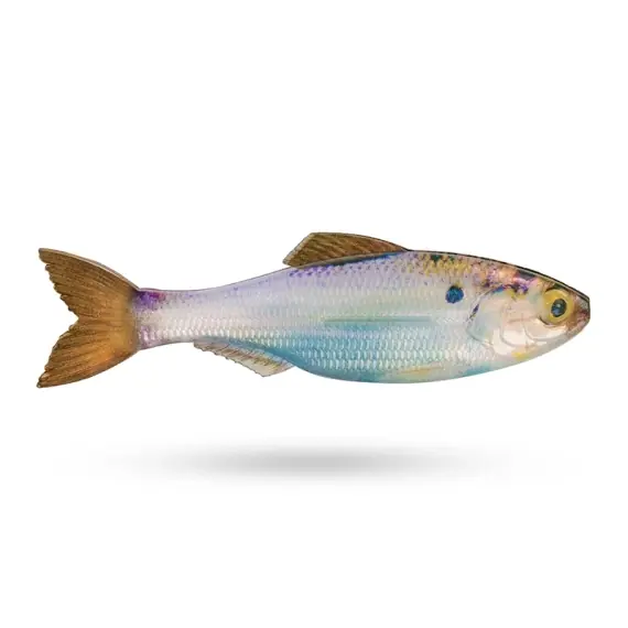 6th Sense Plump Panorama 5'' - Live Gizzard Shad Weekendaanbieding