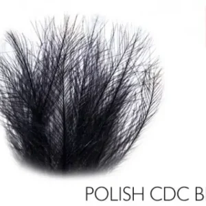 Shop Nu Polish Quill CDC Yellow