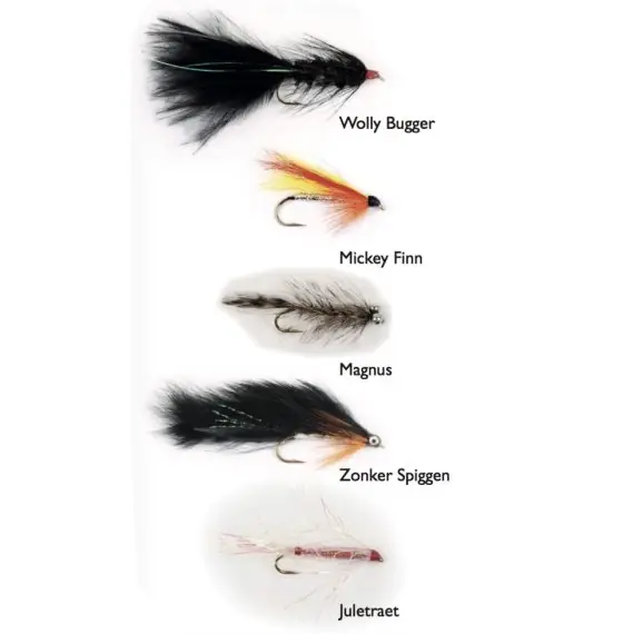 Seatrout Classics 5-pak Favoriet