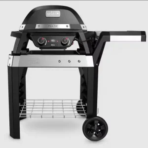 Laatste Versie Weber Pulse 2000 Met Stand Elektrisch