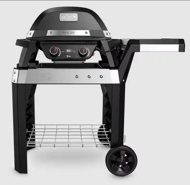 Laatste Versie Weber Pulse 2000 Met Stand Elektrisch