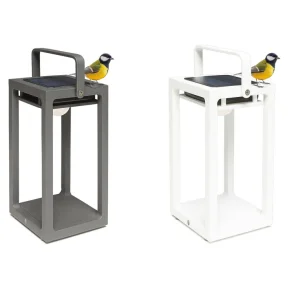 Suns Mr. Solar Jack Aanbieding