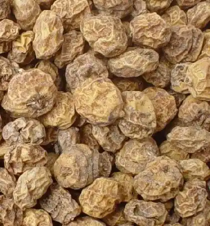 Tijdelijk Beschikbaar Tijgernoten Groot 5 KG