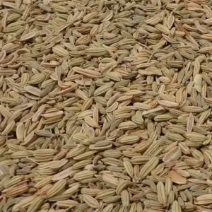Direct Beschikbaar Venkelzaad 1 Kg