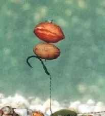 Beste Prijs Enterprise Tackle Peanut Pop-up