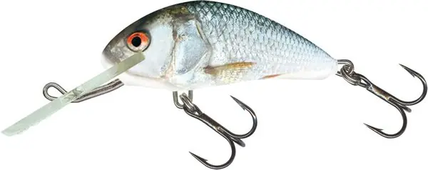 Tijdelijk Beschikbaar Salmo Hornet 4cm Floating Real Dace