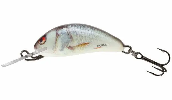 Salmo Hornet 2.5cm Sinking Real Dace Lage Prijs