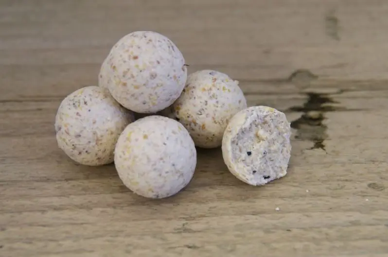Dukebaits Sweet White Chocolate 5KG 20mm Snelle Levering