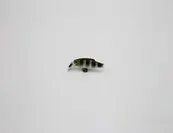 Taipan little minnow 30mm us perch Gereduceerde Prijs