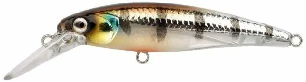 Koop Online Spro Ikiru Naturals Micro Jerk 50 Buzzer