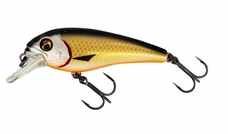 Betrouwbaar Westin Bully Bite 6cm 9gr Official Roach Floating