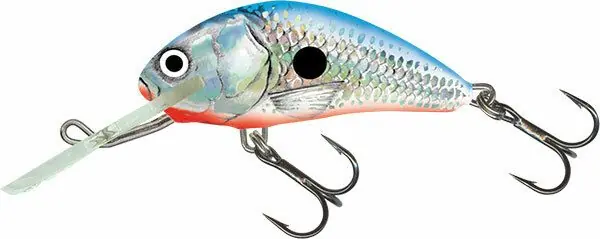 Betrouwbaar Salmo Hornet 5cm Floating Silver Blue Shad