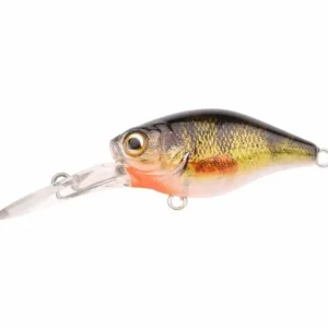 Nu Kopen Spro Ikuru Mini Crank 38 LL Perch