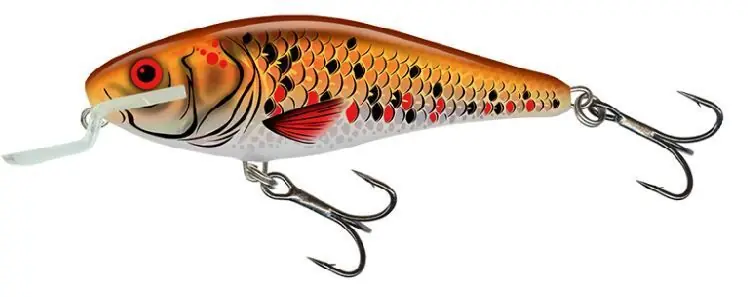 Salmo Executor 9cm Shallow Runner Holographic Golden Back Gecertificeerd