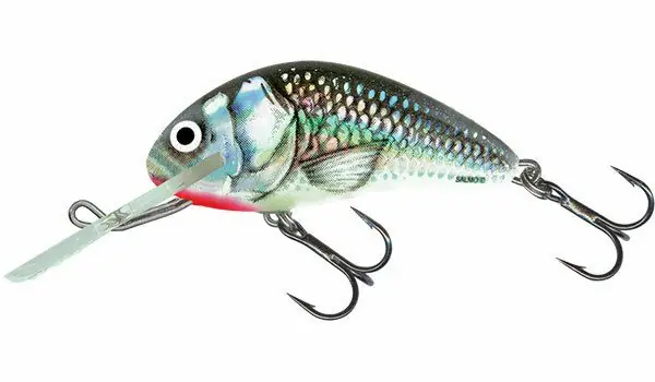 Salmo Hornet 6cm Floating Holographic Grey Shiner Gecertificeerd