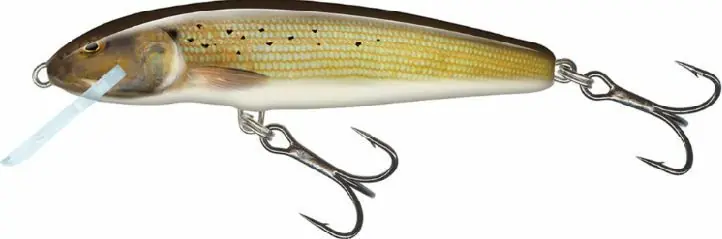 Salmo Minnow 7cm Floating Grayling Lage Prijs