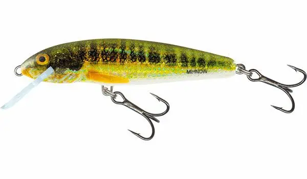 Exclusieve Aanbieding Salmo Minnow Floating 7cm Holo Real Minnow