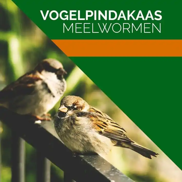 Hertog Pindakaas Multipack Meelworm 12st Shop Nu