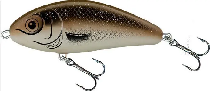 Salmo Fatso 10cm Sinking Arkansas Lage Prijs